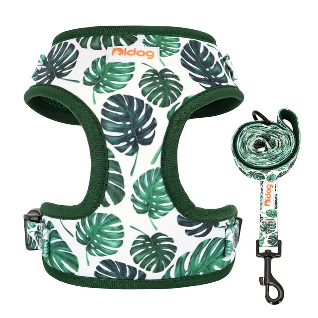 Bidog EliteMesh™ Adjustable Nylon Harness & Leash Set for Small to Medium Breeds