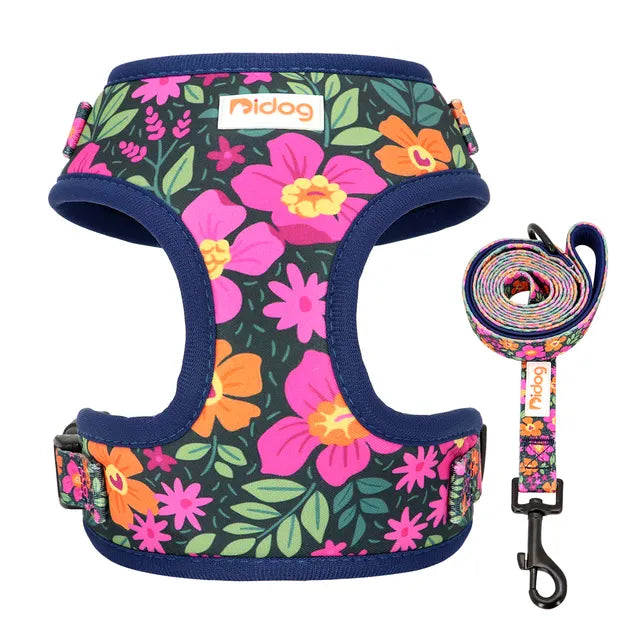 Bidog EliteMesh™ Adjustable Nylon Harness & Leash Set for Small to Medium Breeds