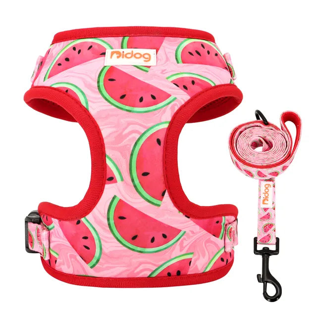 Bidog EliteMesh™ Adjustable Nylon Harness & Leash Set for Small to Medium Breeds