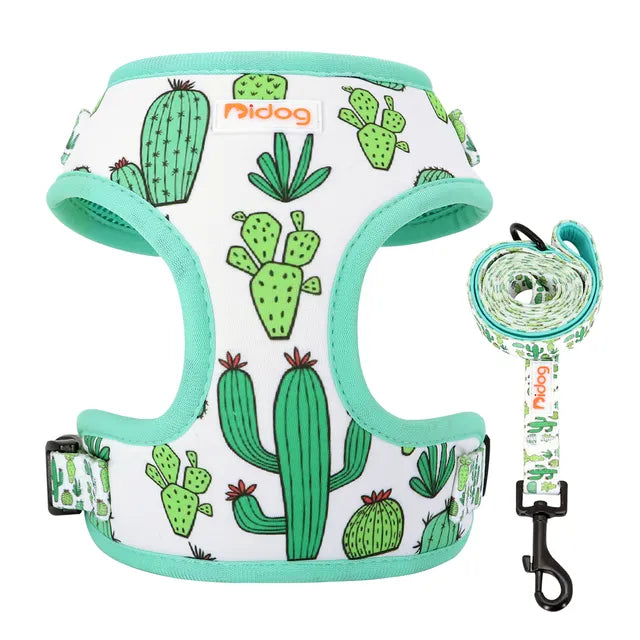 Bidog EliteMesh™ Adjustable Nylon Harness & Leash Set for Small to Medium Breeds