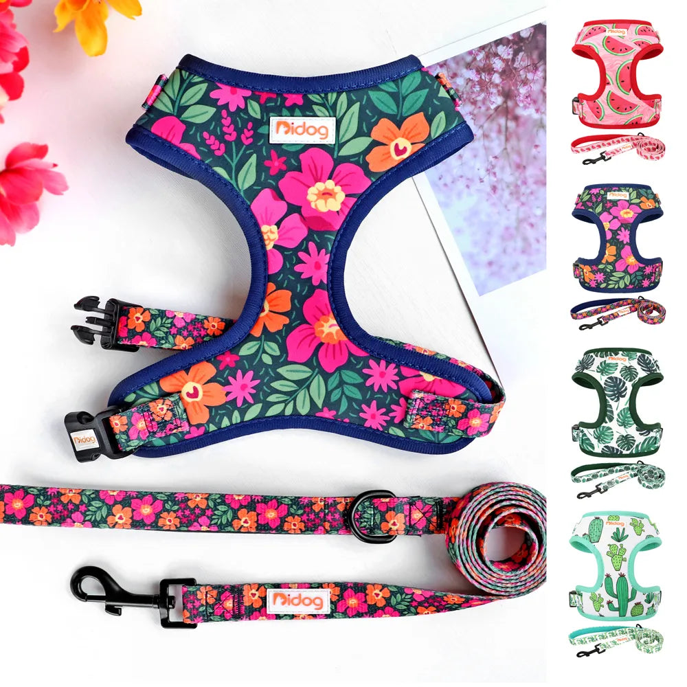 Bidog EliteMesh™ Adjustable Nylon Harness & Leash Set for Small to Medium Breeds