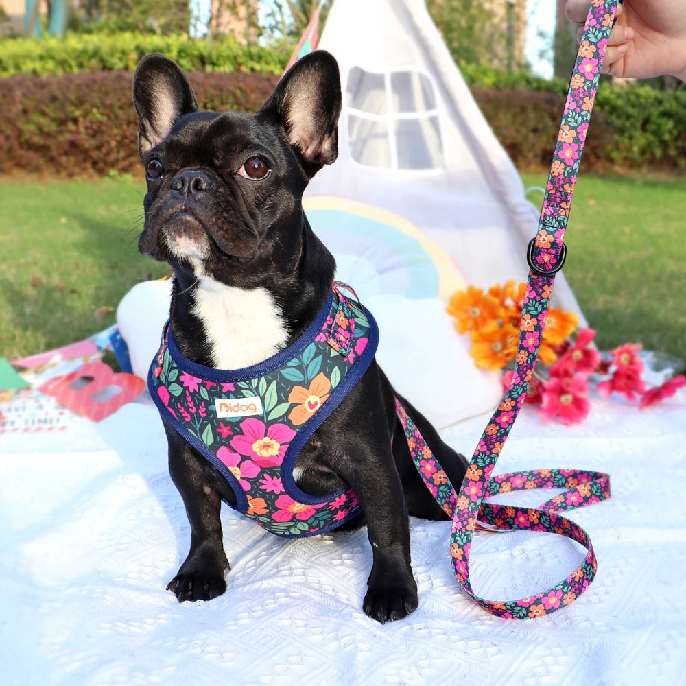 Bidog EliteMesh™ Adjustable Nylon Harness & Leash Set for Small to Medium Breeds