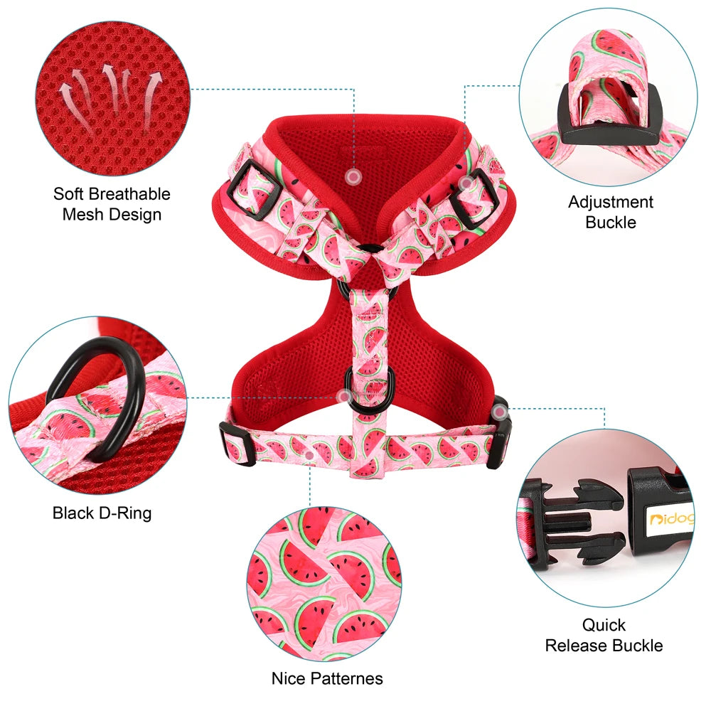 Bidog EliteMesh™ Adjustable Nylon Harness & Leash Set for Small to Medium Breeds