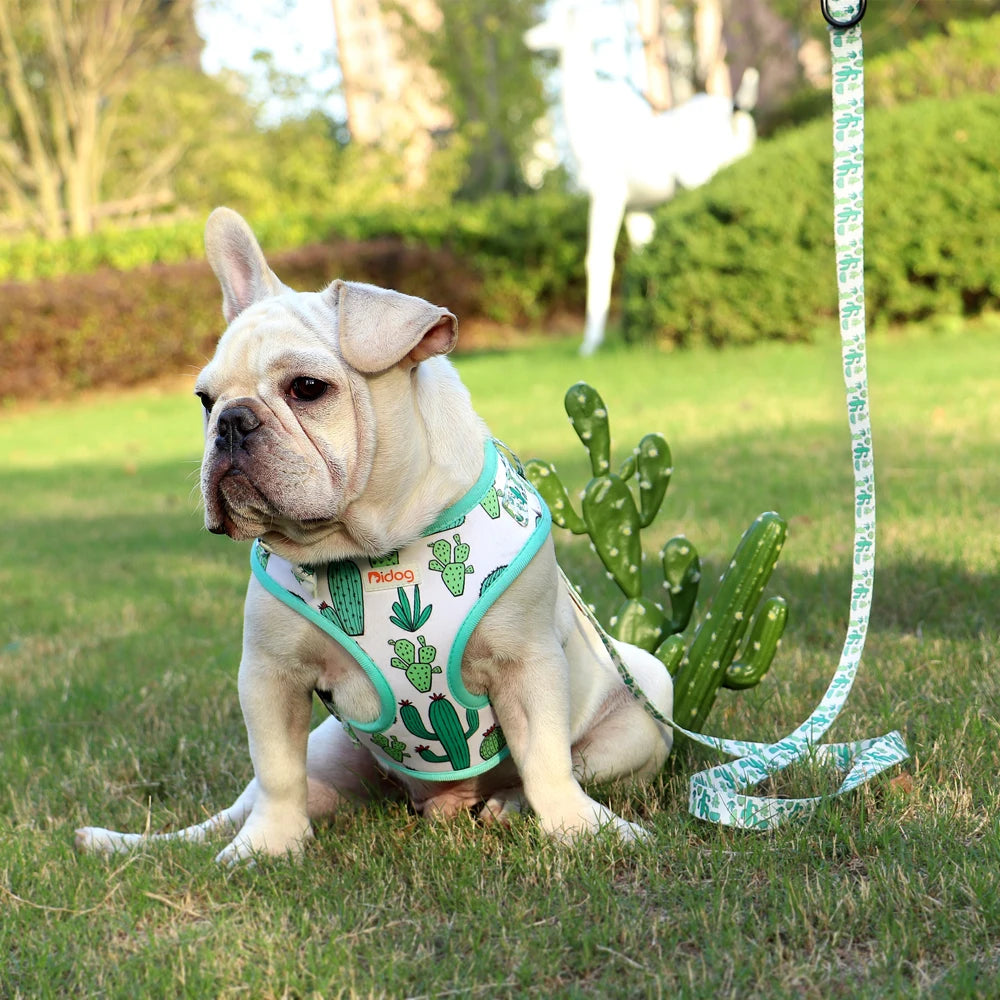 Bidog EliteMesh™ Adjustable Nylon Harness & Leash Set for Small to Medium Breeds