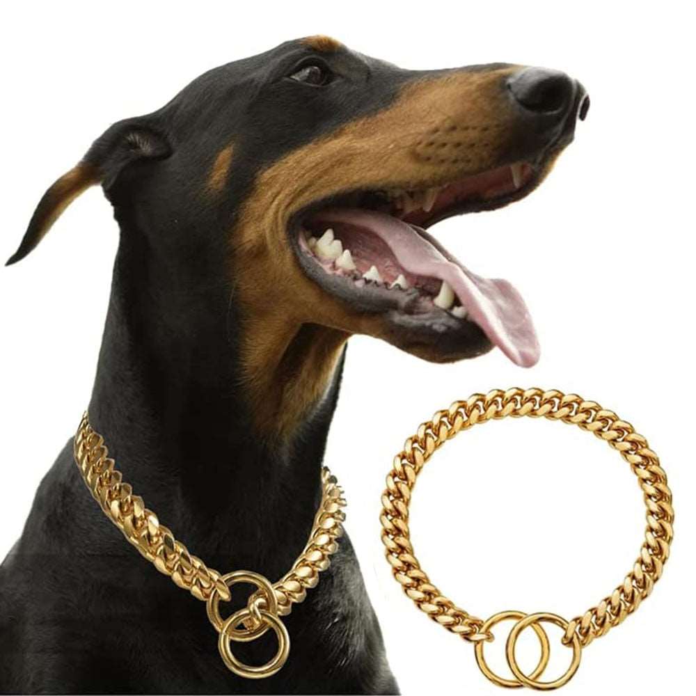 Gold Chain Dog Collar - My Dog's Supplier