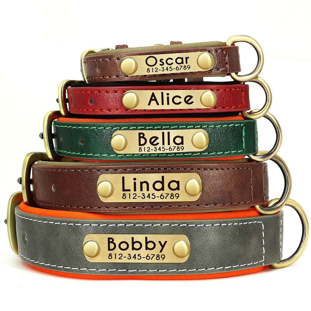 Customized Leather ID Nameplate Dog Collar - My Dog's Supplier