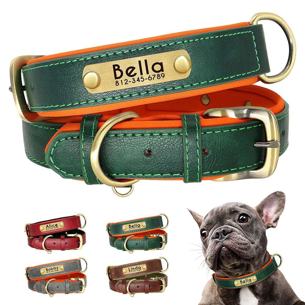 Customized Leather ID Nameplate Dog Collar - My Dog's Supplier