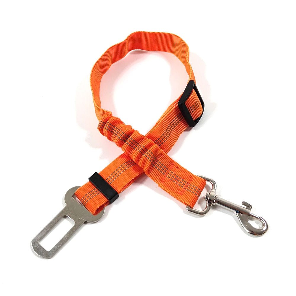 Elastic Seat Belt Leash - My Dog's Supplier