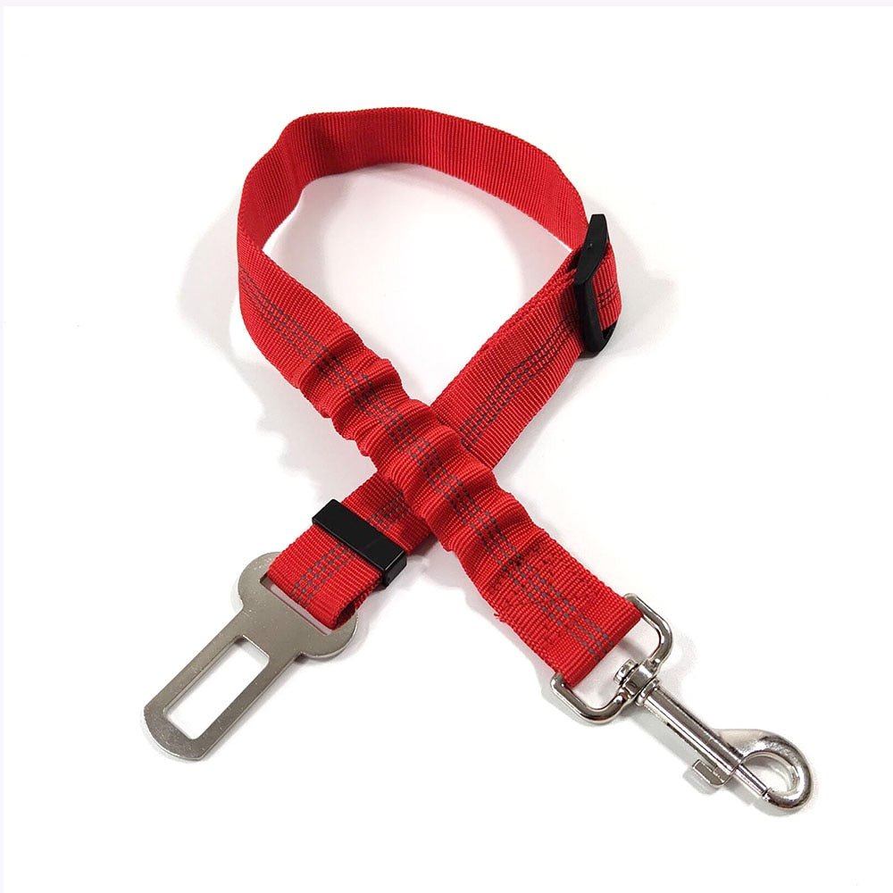 Elastic Seat Belt Leash - My Dog's Supplier