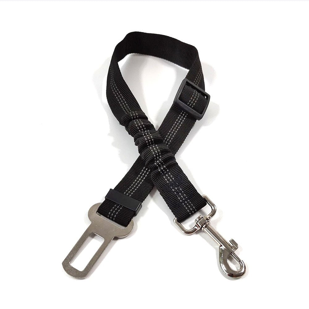 Elastic Seat Belt Leash - My Dog's Supplier