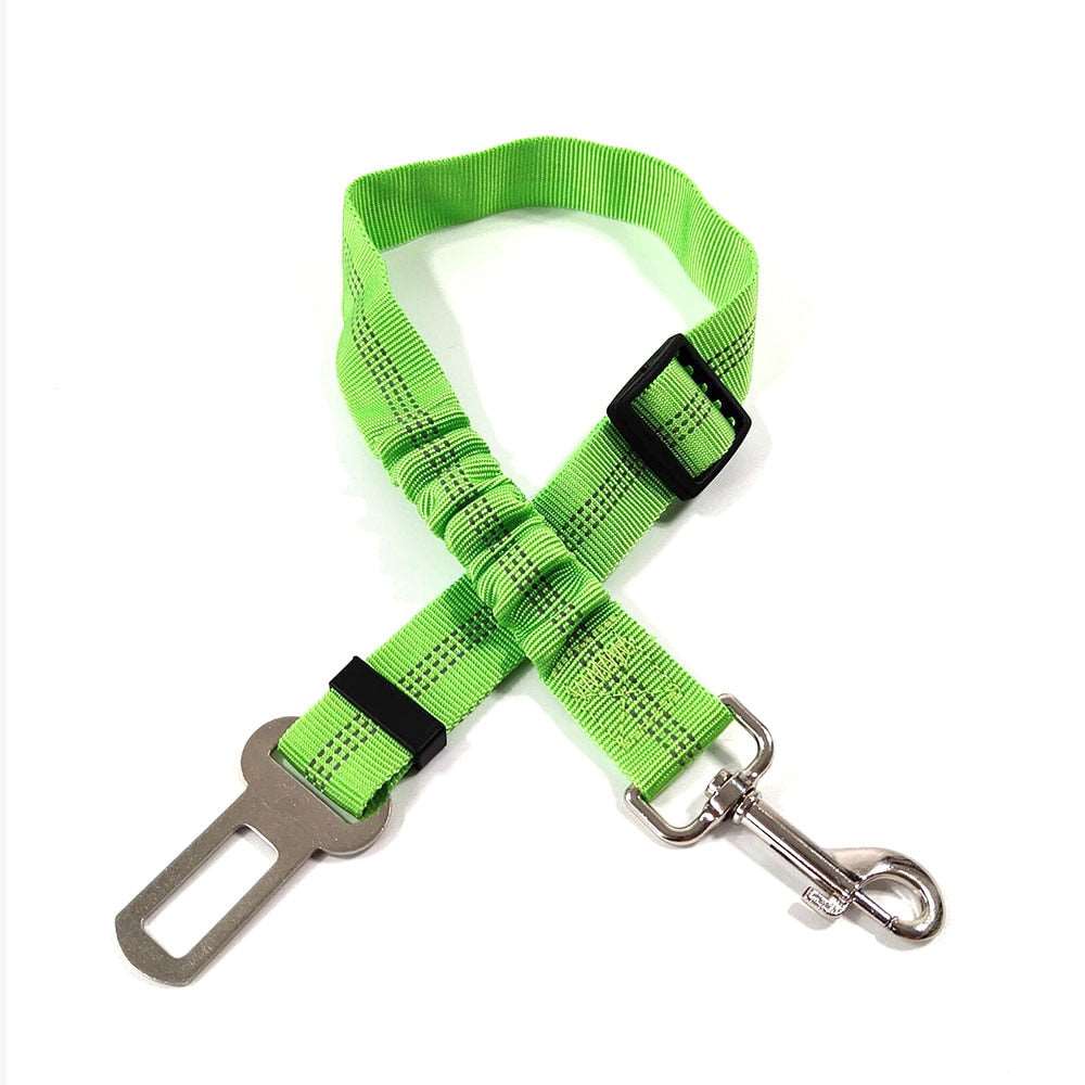 Elastic Seat Belt Leash - My Dog's Supplier