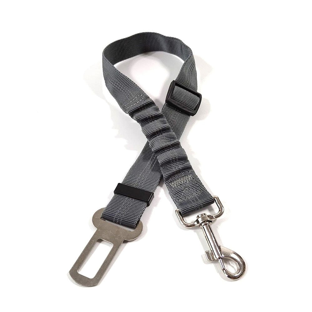 Elastic Seat Belt Leash - My Dog's Supplier
