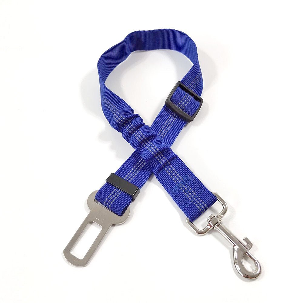 Elastic Seat Belt Leash - My Dog's Supplier
