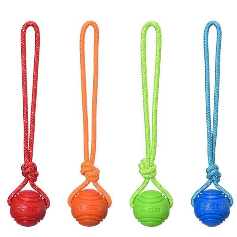 FlexiFetch Rubber Ball & with String - My Dog's Supplier