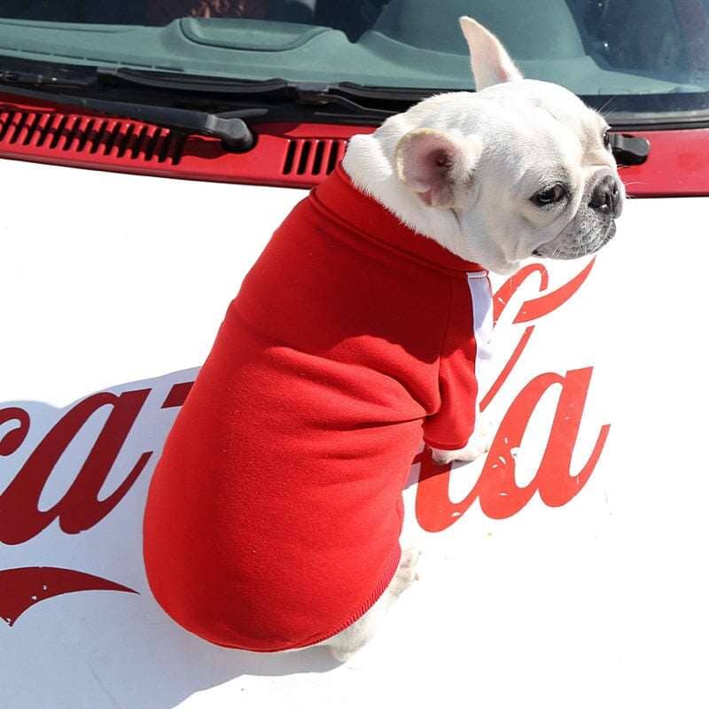 Poma Baseball Jacket - My Dog's Supplier