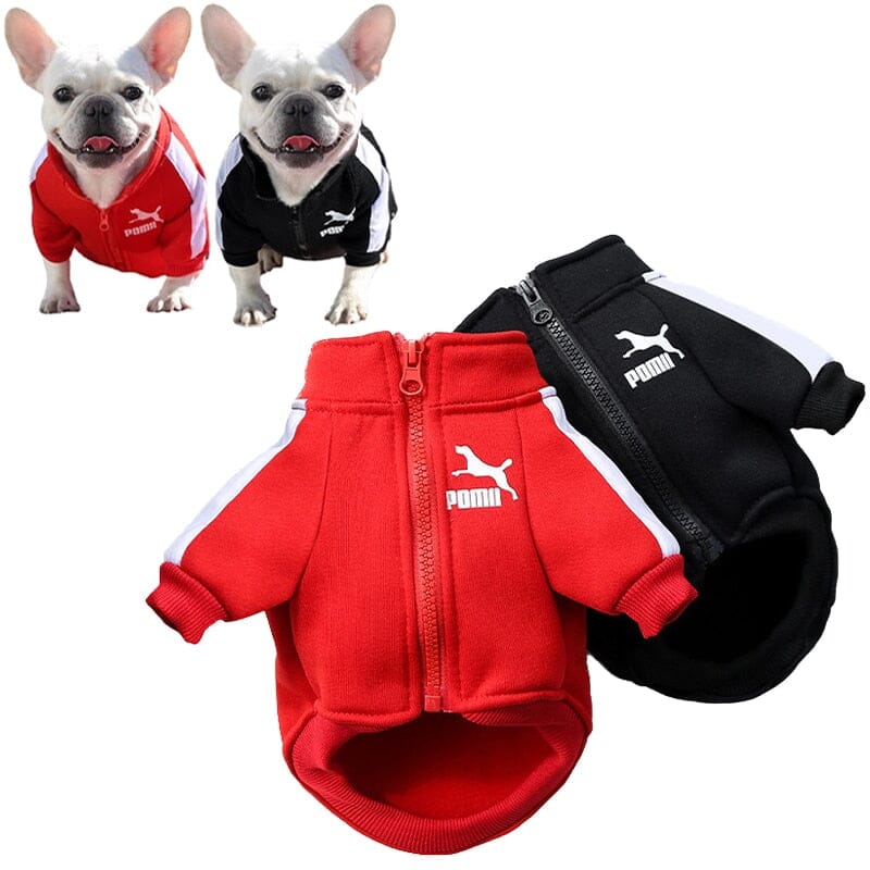 Poma Baseball Jacket - My Dog's Supplier