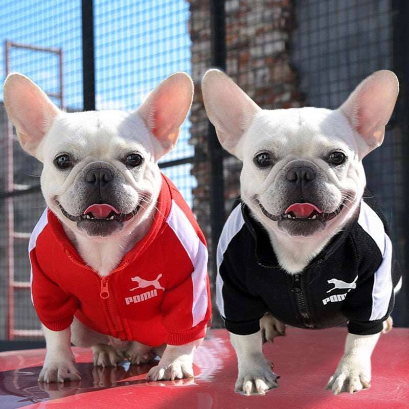 Poma Baseball Jacket - My Dog's Supplier