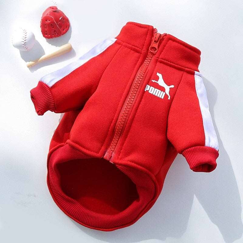 Poma Baseball Jacket - My Dog's Supplier