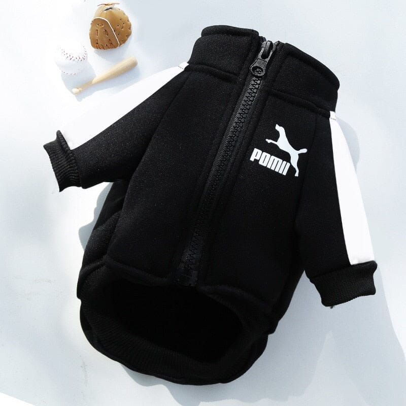 Poma Baseball Jacket - My Dog's Supplier