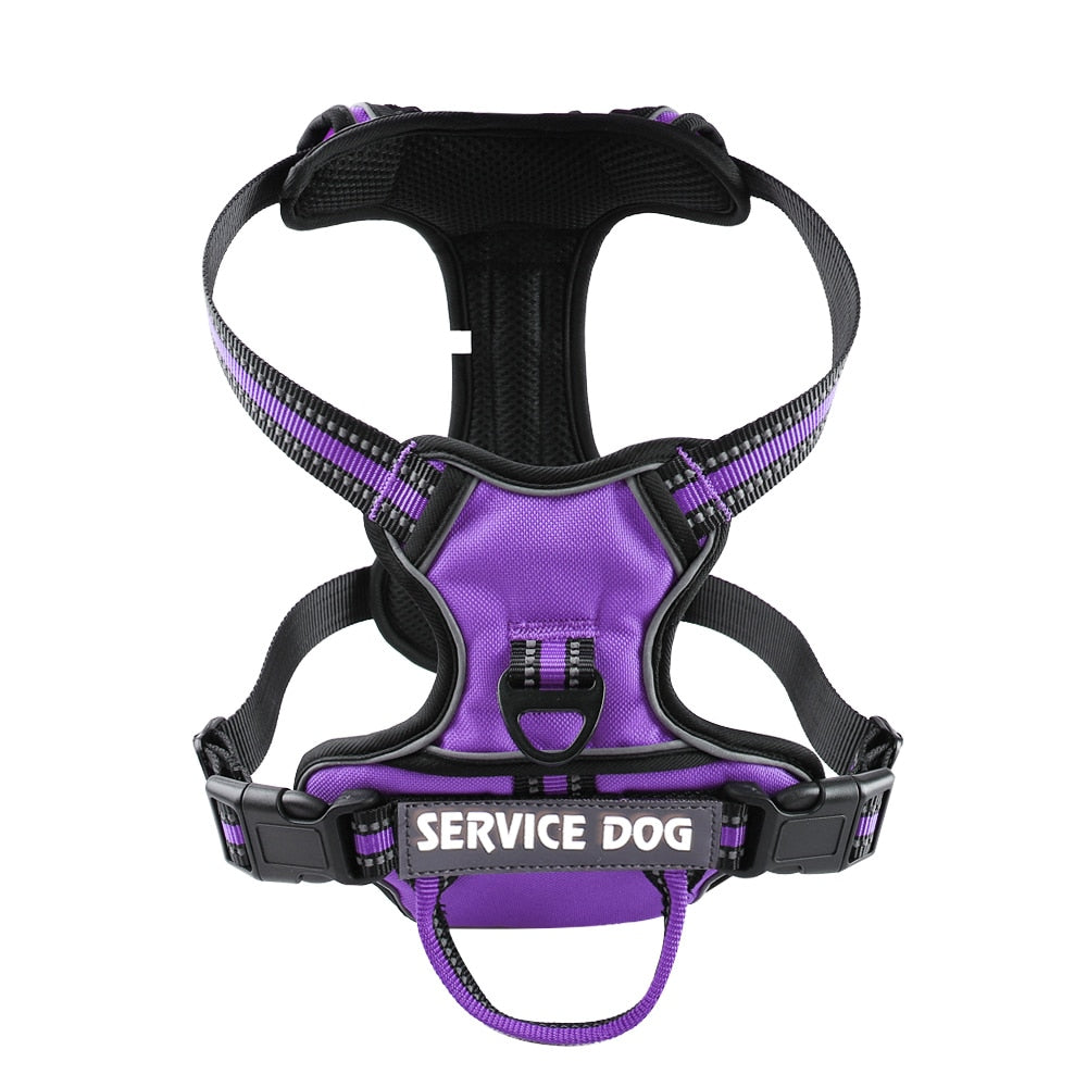 Personalized Reflective Dog Harness Vest