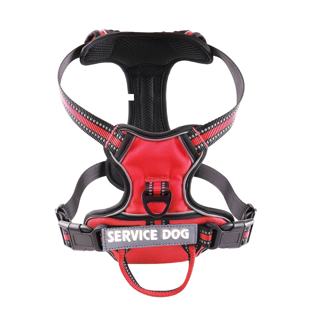 Personalized Reflective Dog Harness Vest