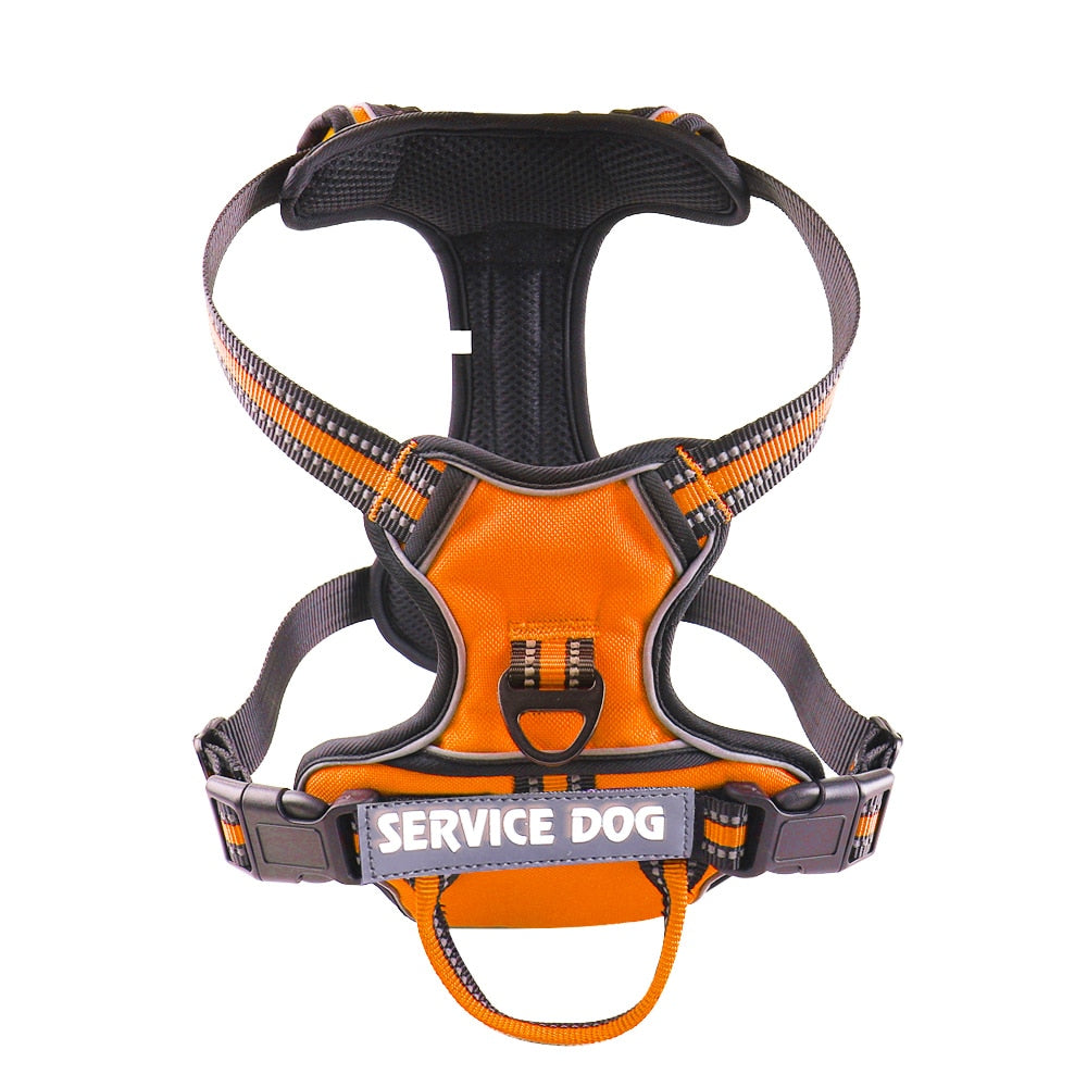 Personalized Reflective Dog Harness Vest