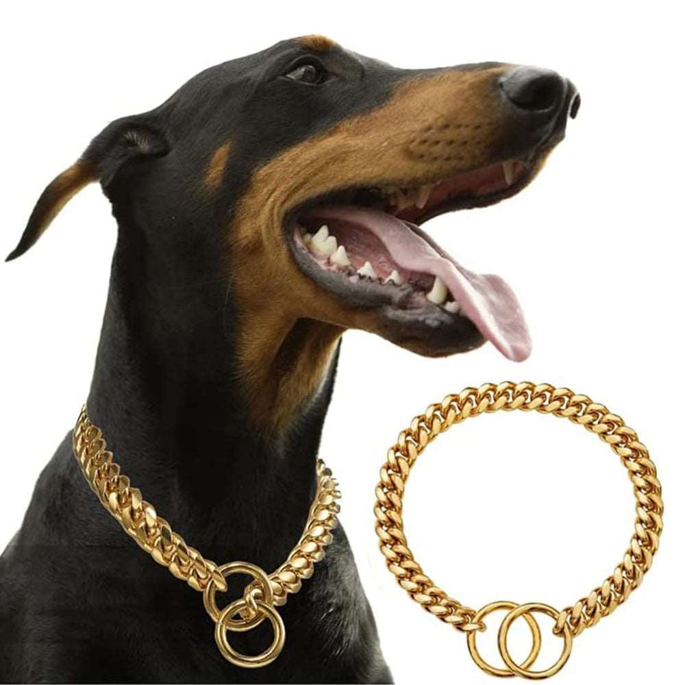 Gold chain dog collar and leash hotsell