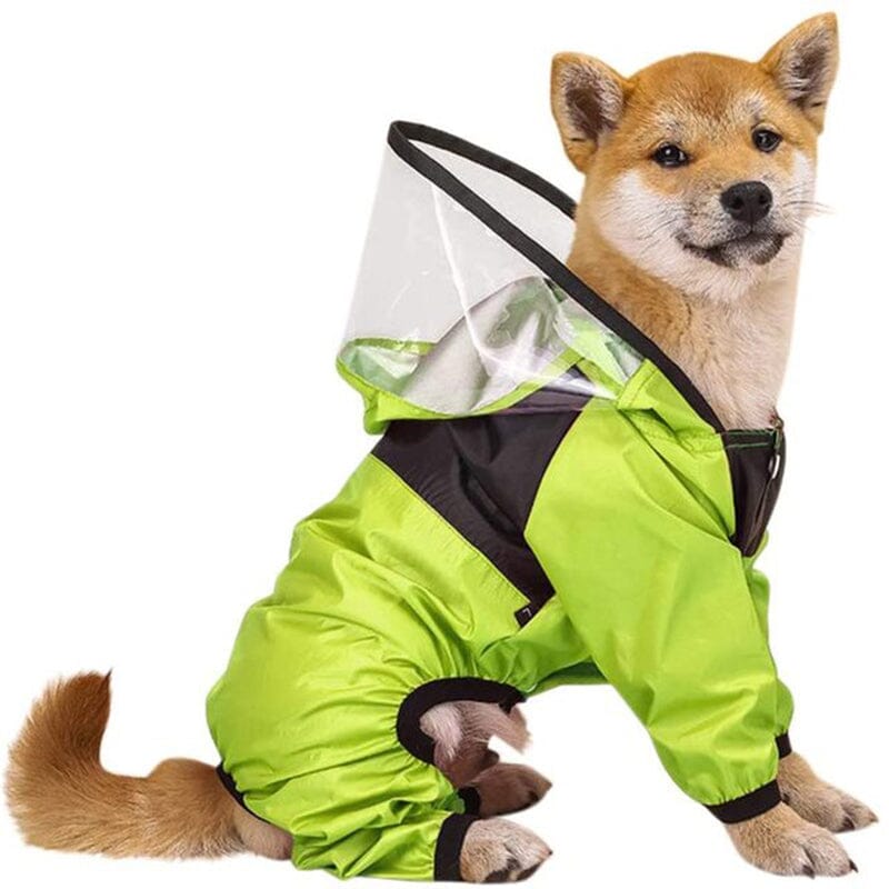 The Dog Face Raincoat - My Dog's Supplier