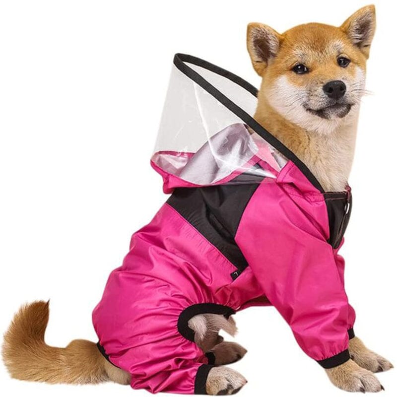 The Dog Face Raincoat - My Dog's Supplier