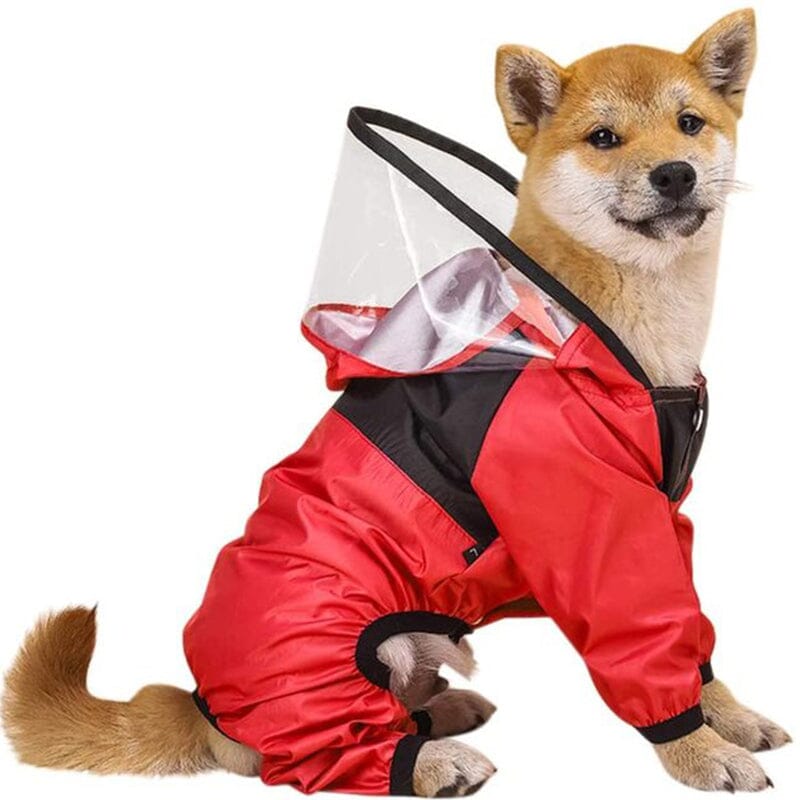 The Dog Face Raincoat - My Dog's Supplier